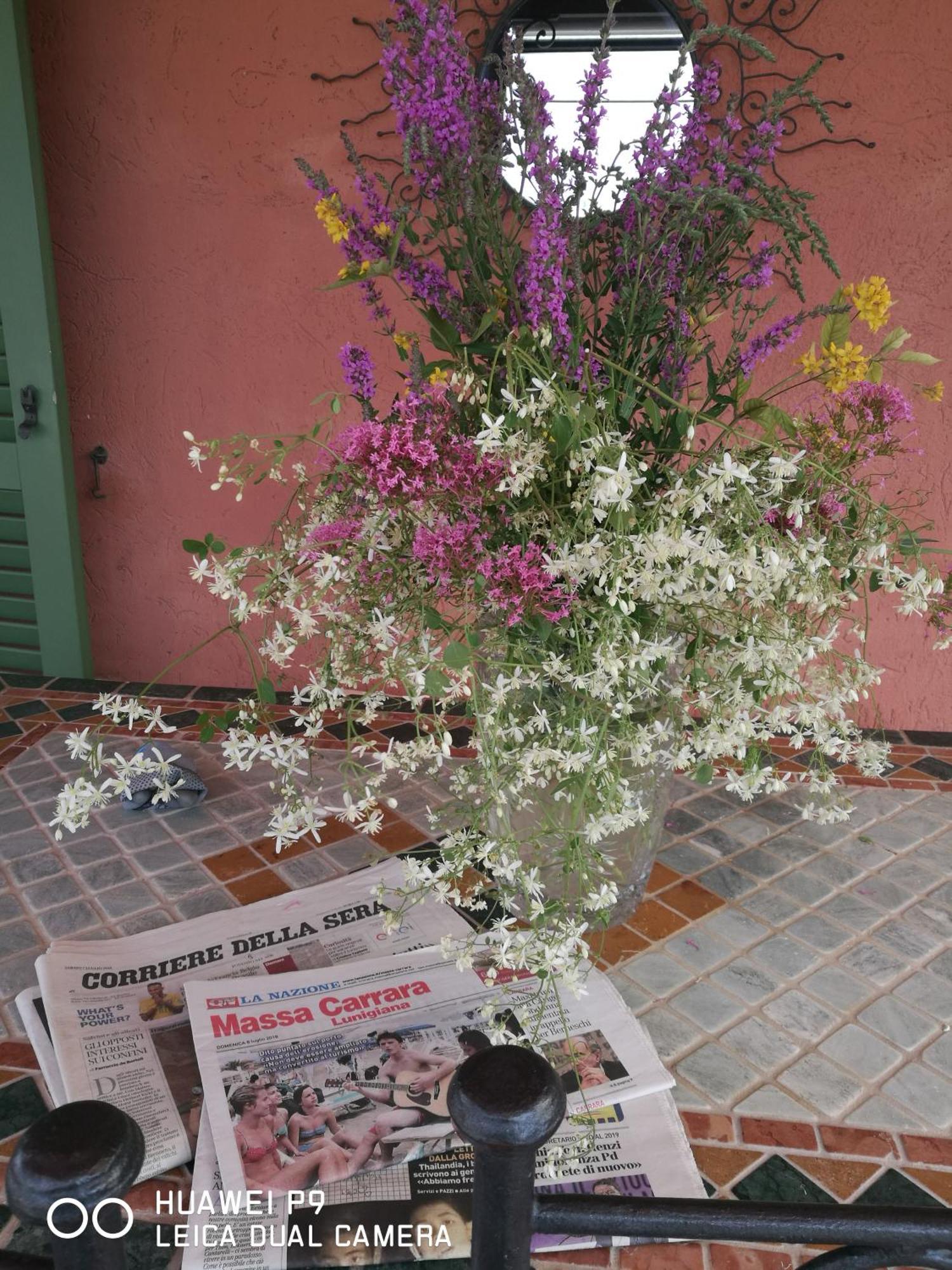 Bed and Breakfast Giusy Bed&Breakfast Marina Di Carrara Exterior foto