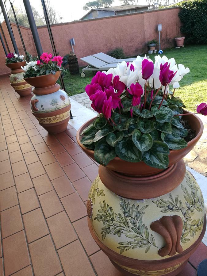 Bed and Breakfast Giusy Bed&Breakfast Marina Di Carrara Exterior foto